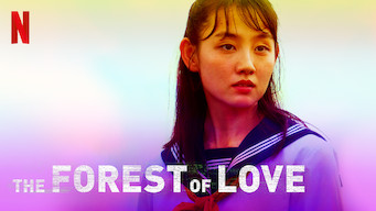 The Forest Of Love 2019 Netflix Flixable